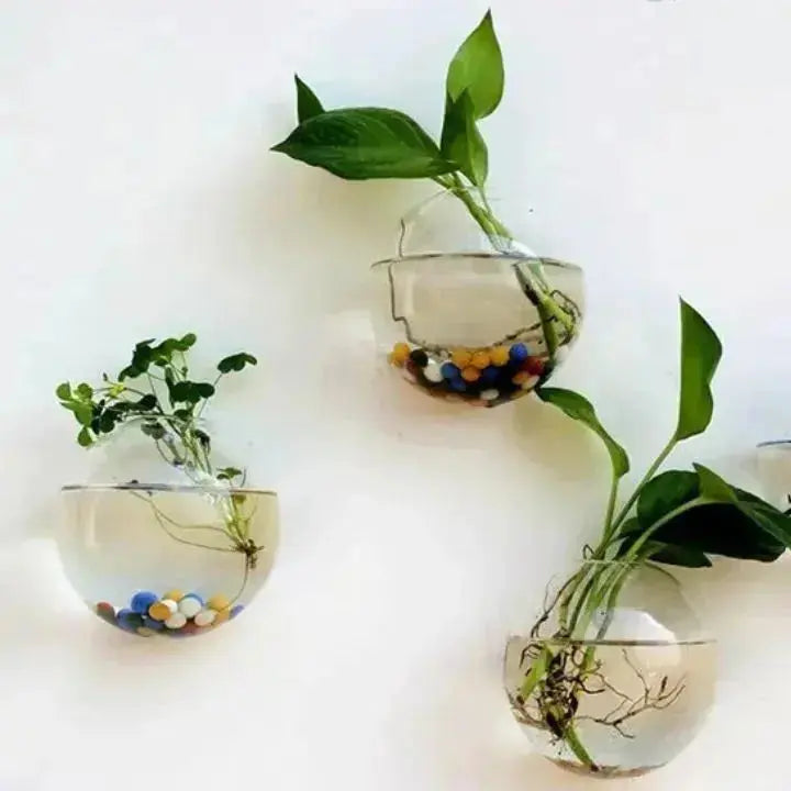 Glas Wandvase Rund 10cm - Hängend für Pflanzen & Blumen