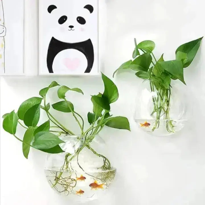 Glas Wandvase Rund 10cm - Hängend für Pflanzen & Blumen