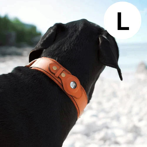 Hundehalsband mit weltweitem Tracking ohne Abo