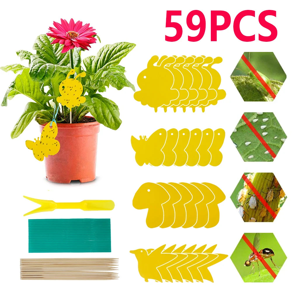 Insektenfallen Pflanzen 59er Set - Chemiefrei & Ungiftig
