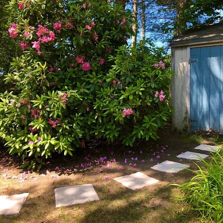 Rutschfeste Gehwegfliesen mit Bodendornen für Gartenwege