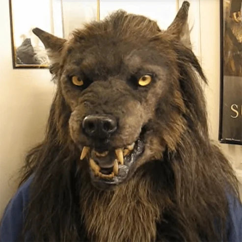 Realistische Werwolf Maske aus Silikon und Kunstfell für Halloween