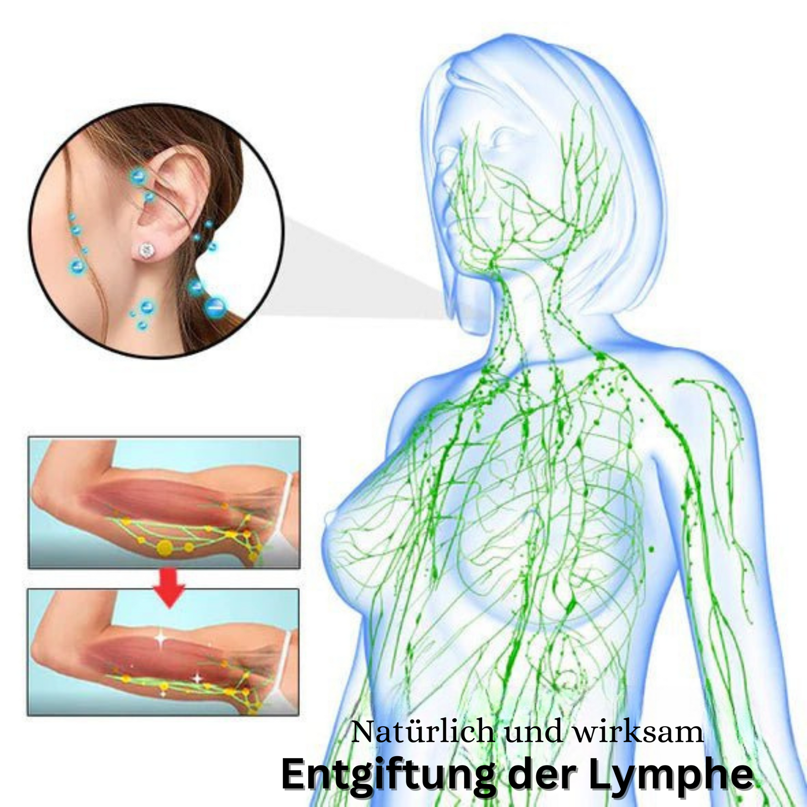 Magnetische Akupunktur-Ohrringe mit negativen Ionen für tägliches Wohlbefinden