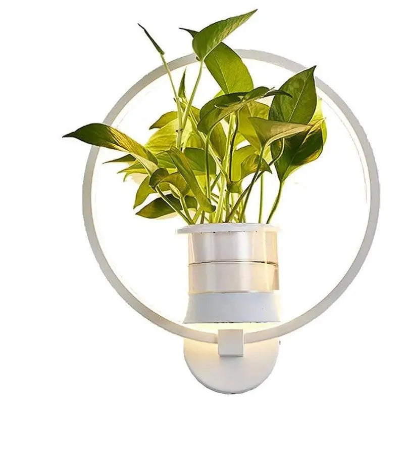 Wandleuchte mit Pflanzenelement - Botanische LED Lampe für Innenräume