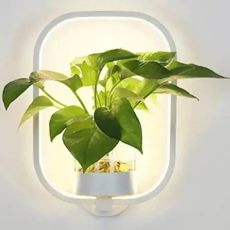 Wandleuchte mit Pflanzenelement - Botanische LED Lampe für Innenräume