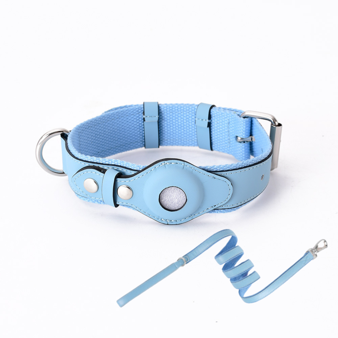 Hundehalsband mit weltweitem Tracking ohne Abo