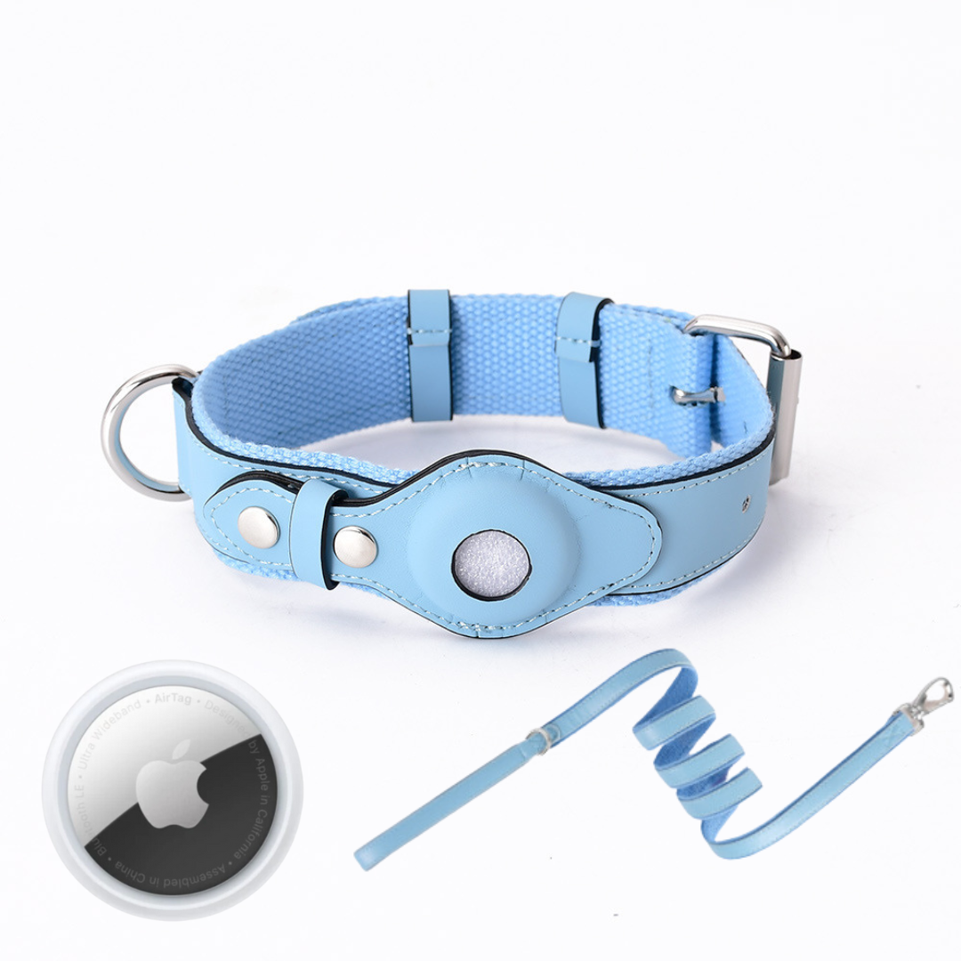 Hundehalsband mit weltweitem Tracking ohne Abo