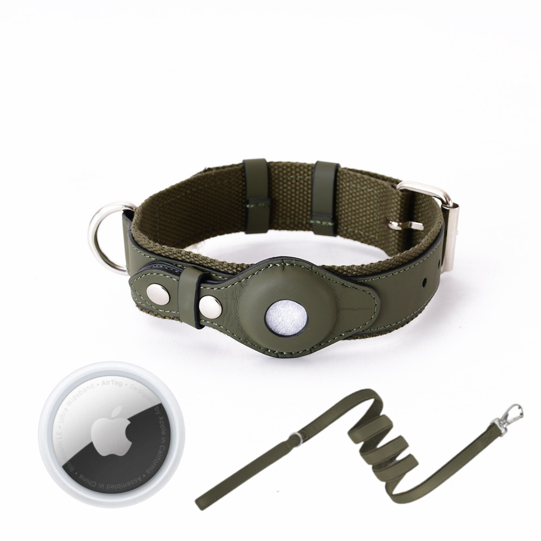 Hundehalsband mit weltweitem Tracking ohne Abo