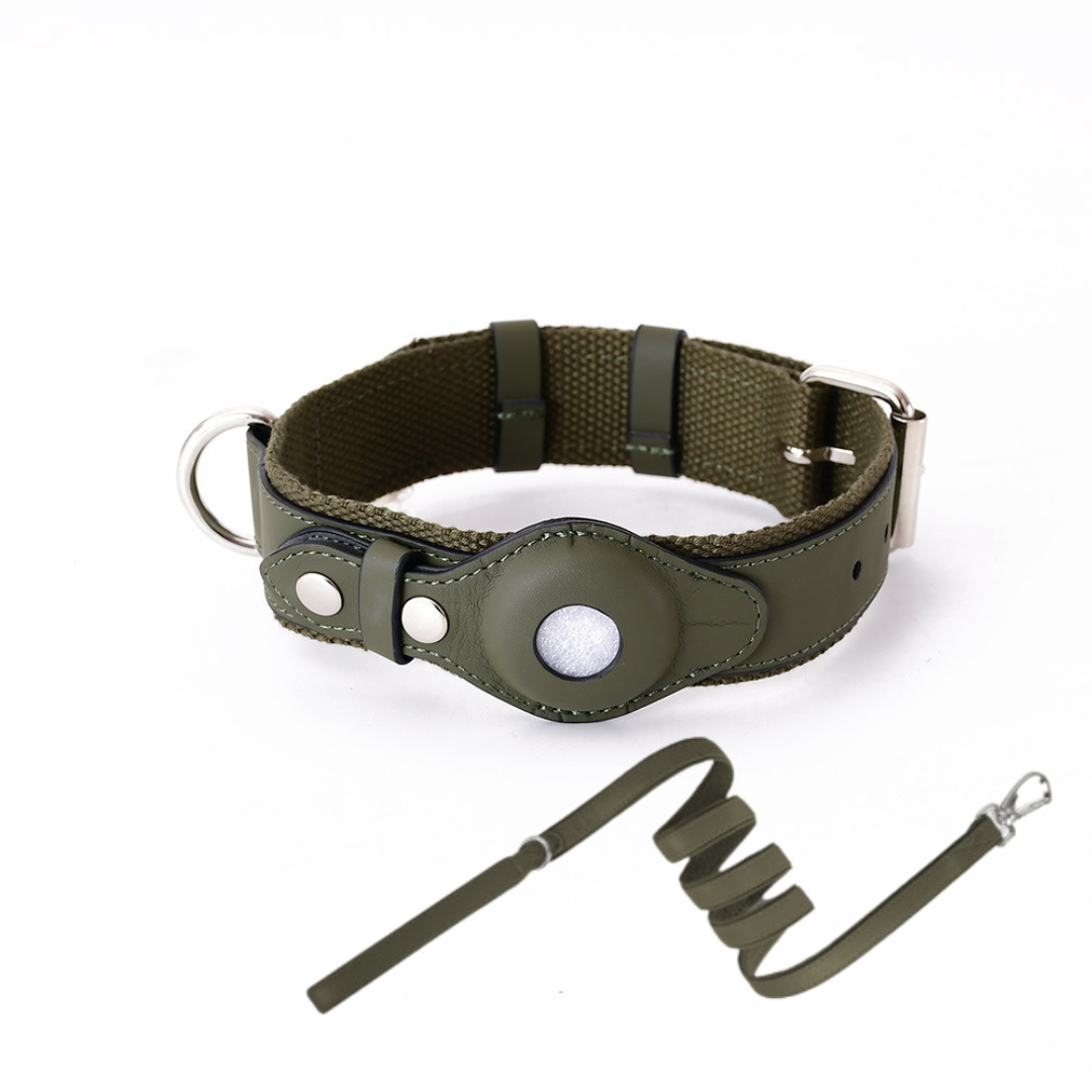 Hundehalsband mit weltweitem Tracking ohne Abo