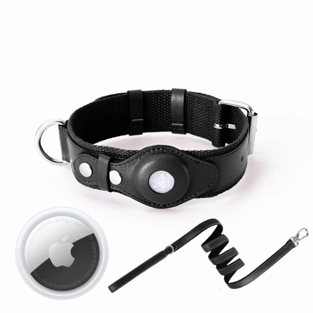 Hundehalsband mit weltweitem Tracking ohne Abo