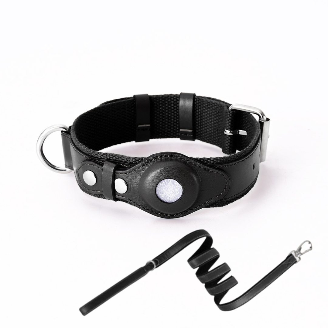 Hundehalsband mit weltweitem Tracking ohne Abo