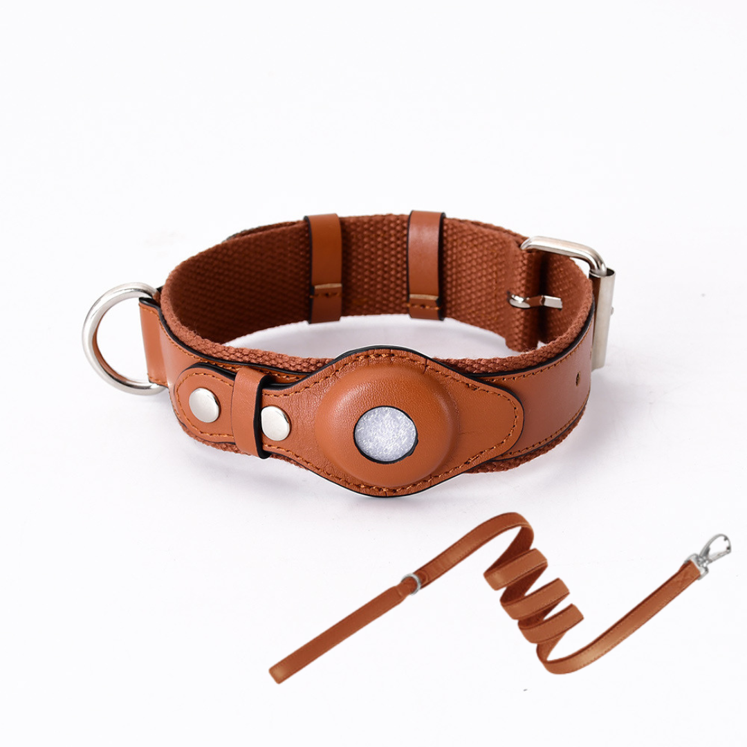 Hundehalsband mit weltweitem Tracking ohne Abo