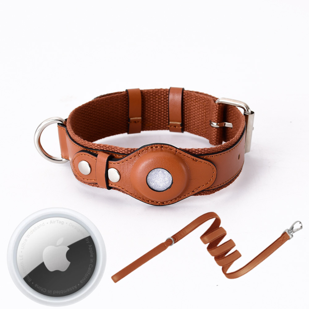 Hundehalsband mit weltweitem Tracking ohne Abo