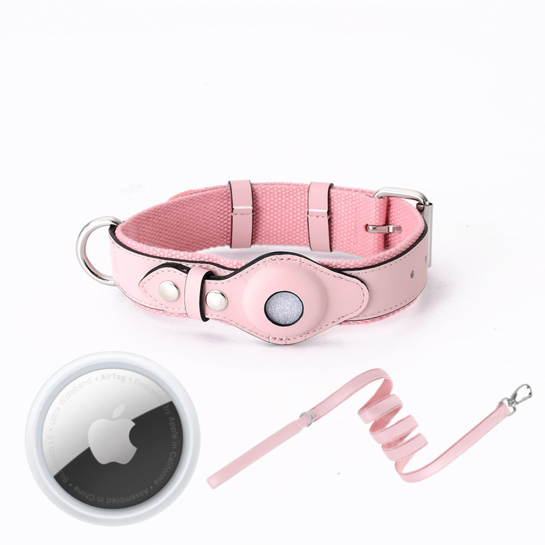 Hundehalsband mit weltweitem Tracking ohne Abo