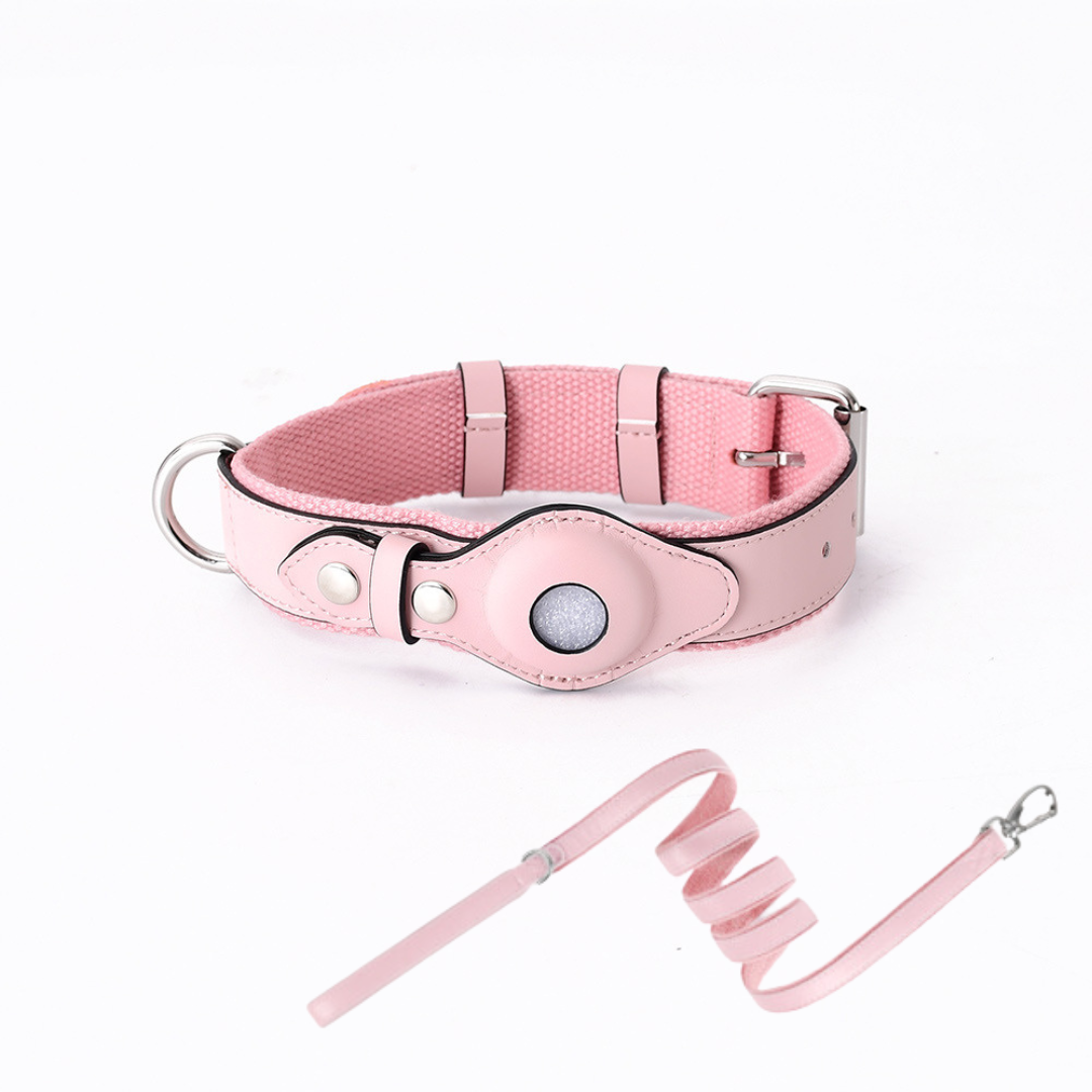 Hundehalsband mit weltweitem Tracking ohne Abo