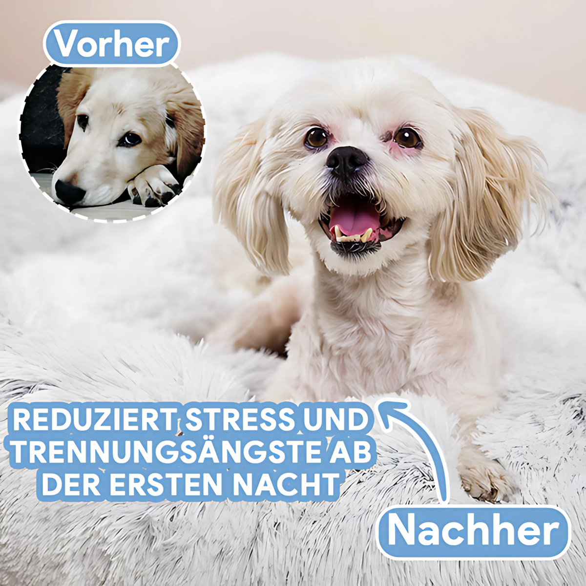 Haustierbett weich kuschelig - Hundekörbchen Katzenbett waschbar