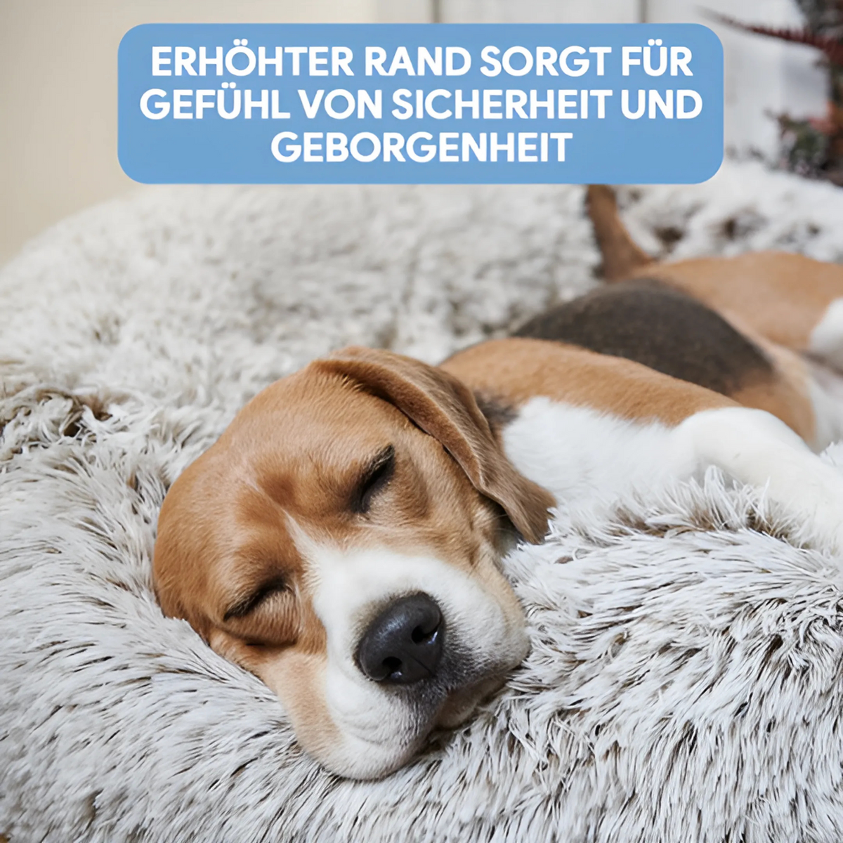 Haustierbett weich kuschelig - Hundekörbchen Katzenbett waschbar