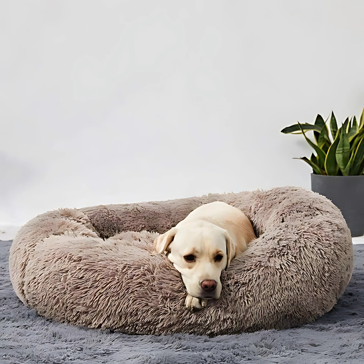 Haustierbett weich kuschelig - Hundekörbchen Katzenbett waschbar
