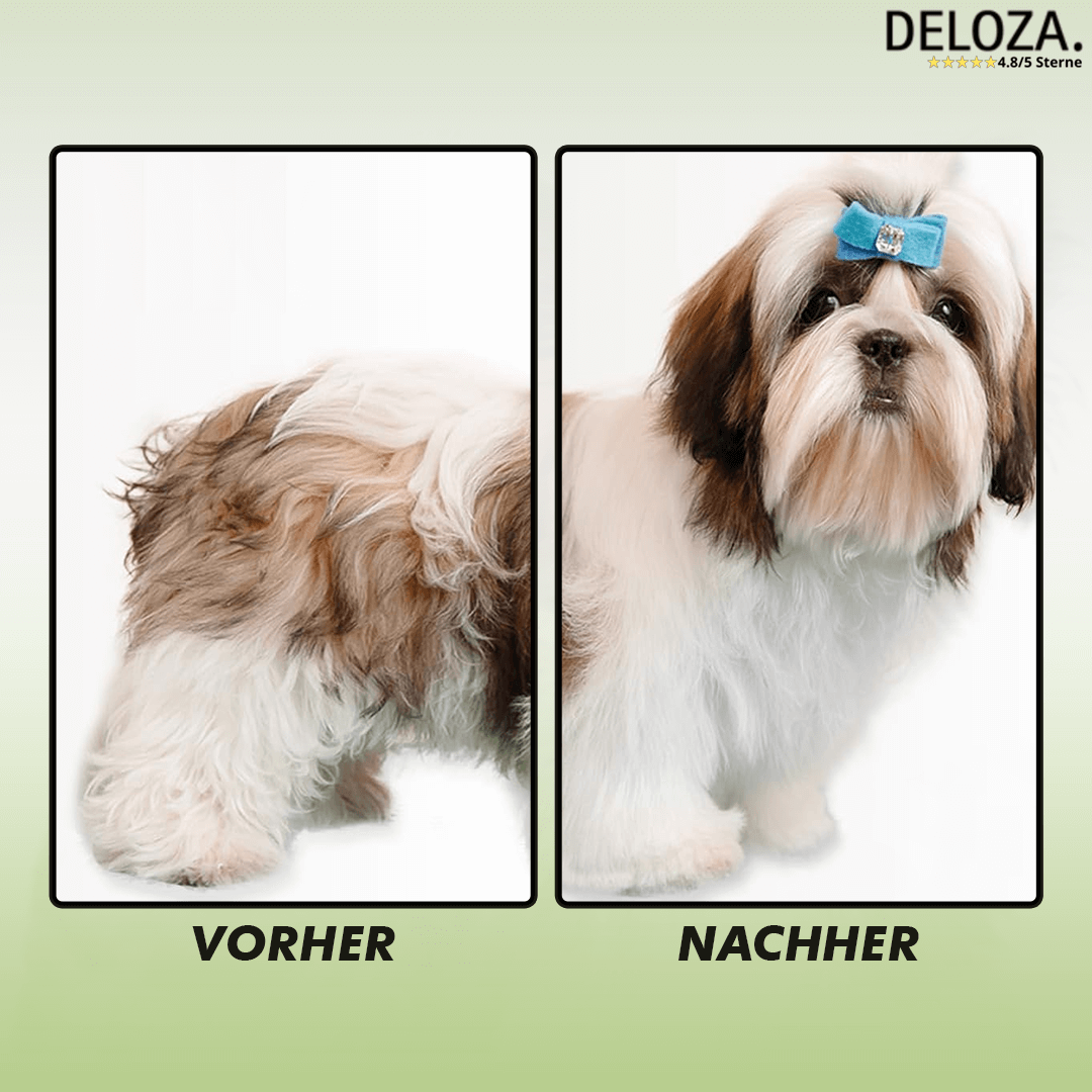 Dampfbürste für Hunde und Katzen mit Wassersprühfunktion