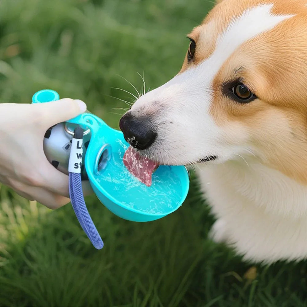 Hundetrinkflasche mit Napf – 285 ml Edelstahl, auslaufsicher für unterwegs