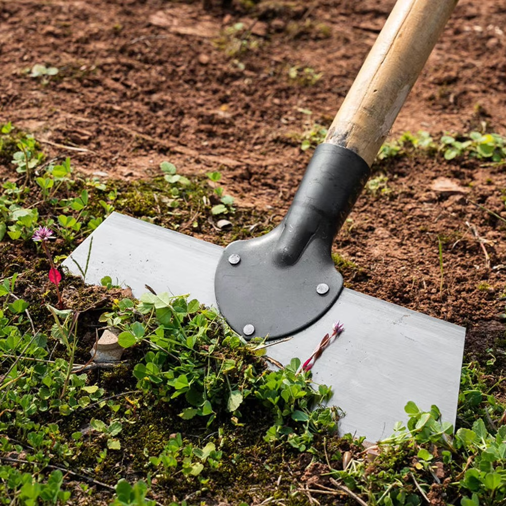 Gartenhacke Unkrautstecher Manganstahl - Fugenschaber mit Holzstiel