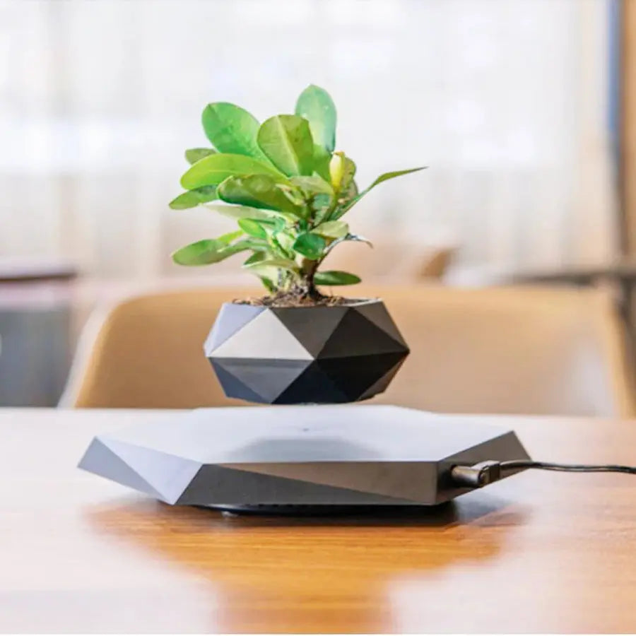 Schwebender Blumentopf 360° drehbar – Magnetischer Pflanzenständer