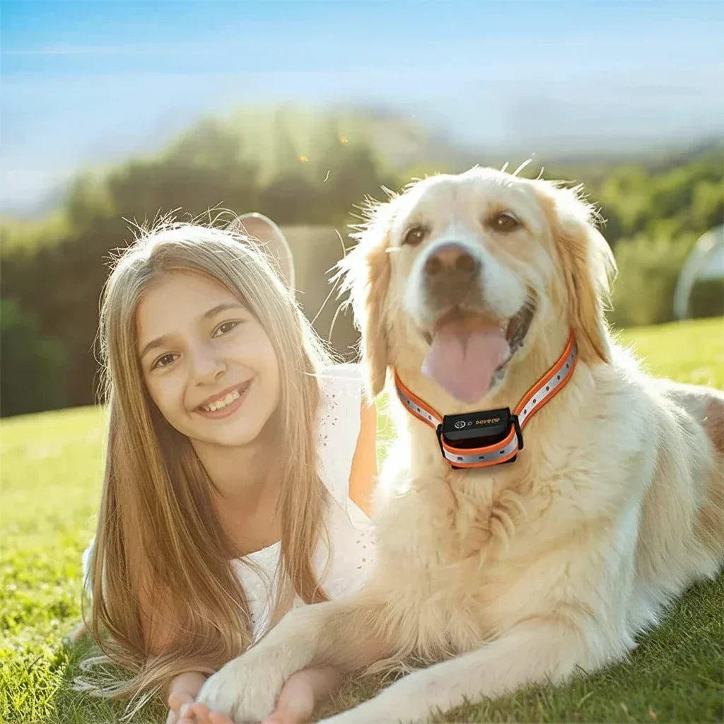 Hundetraining Halsband Fernbedienung 1000m wasserdicht 3 Modi