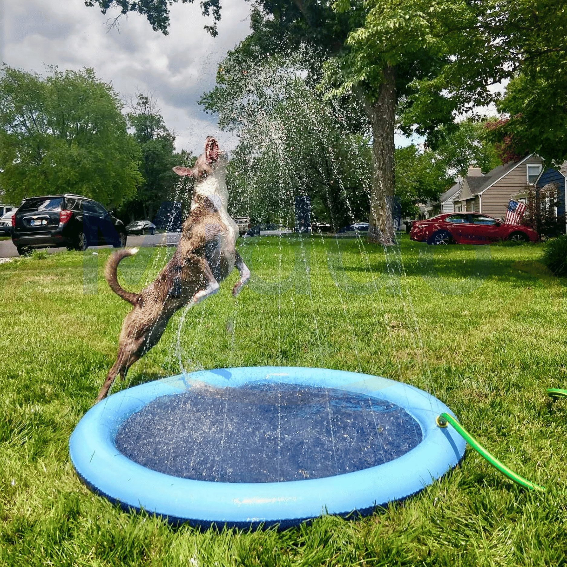 Wasserspielmatte für Garten - Sprinkler Matte für Kinder und Haustiere