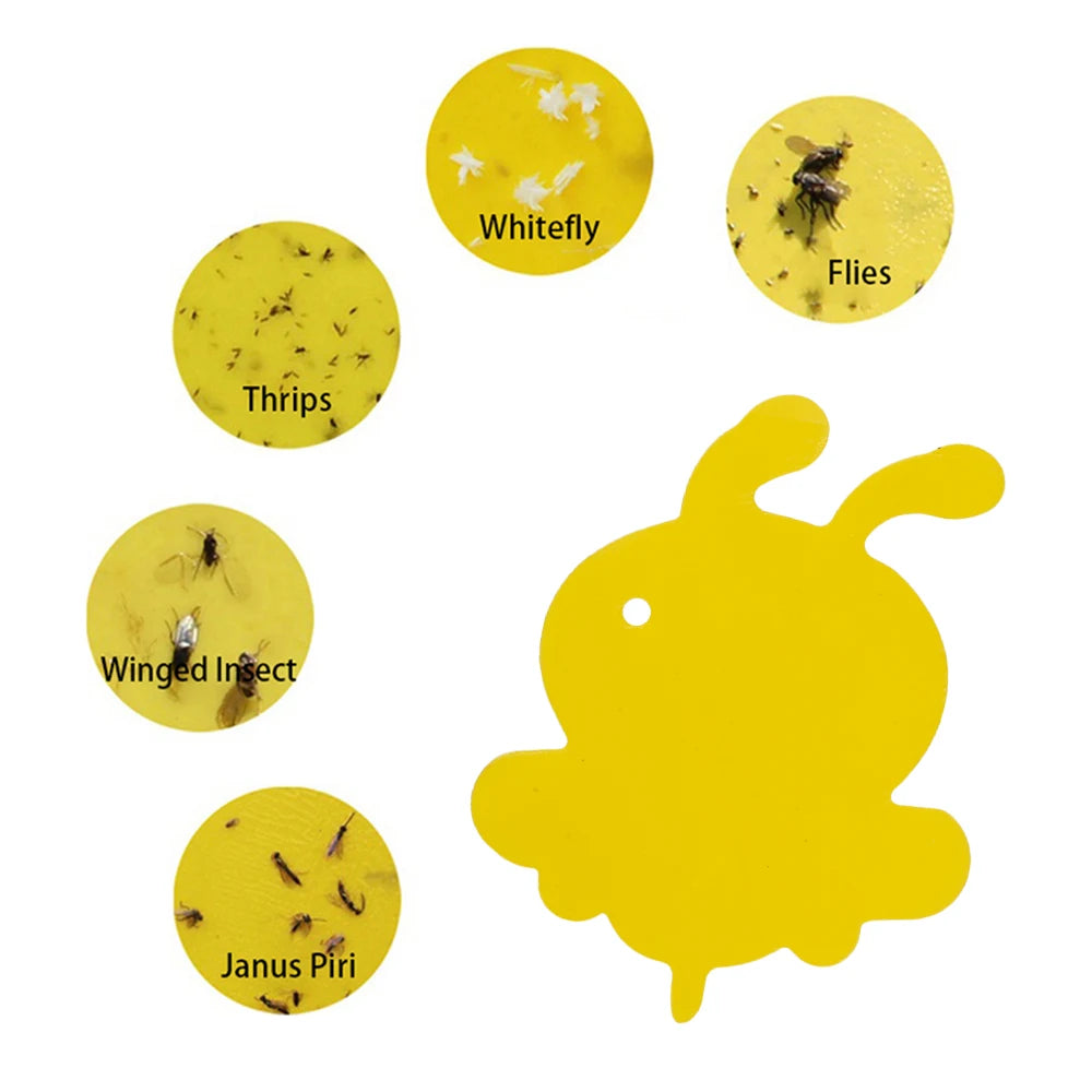 Insektenfallen Pflanzen 59er Set - Chemiefrei & Ungiftig