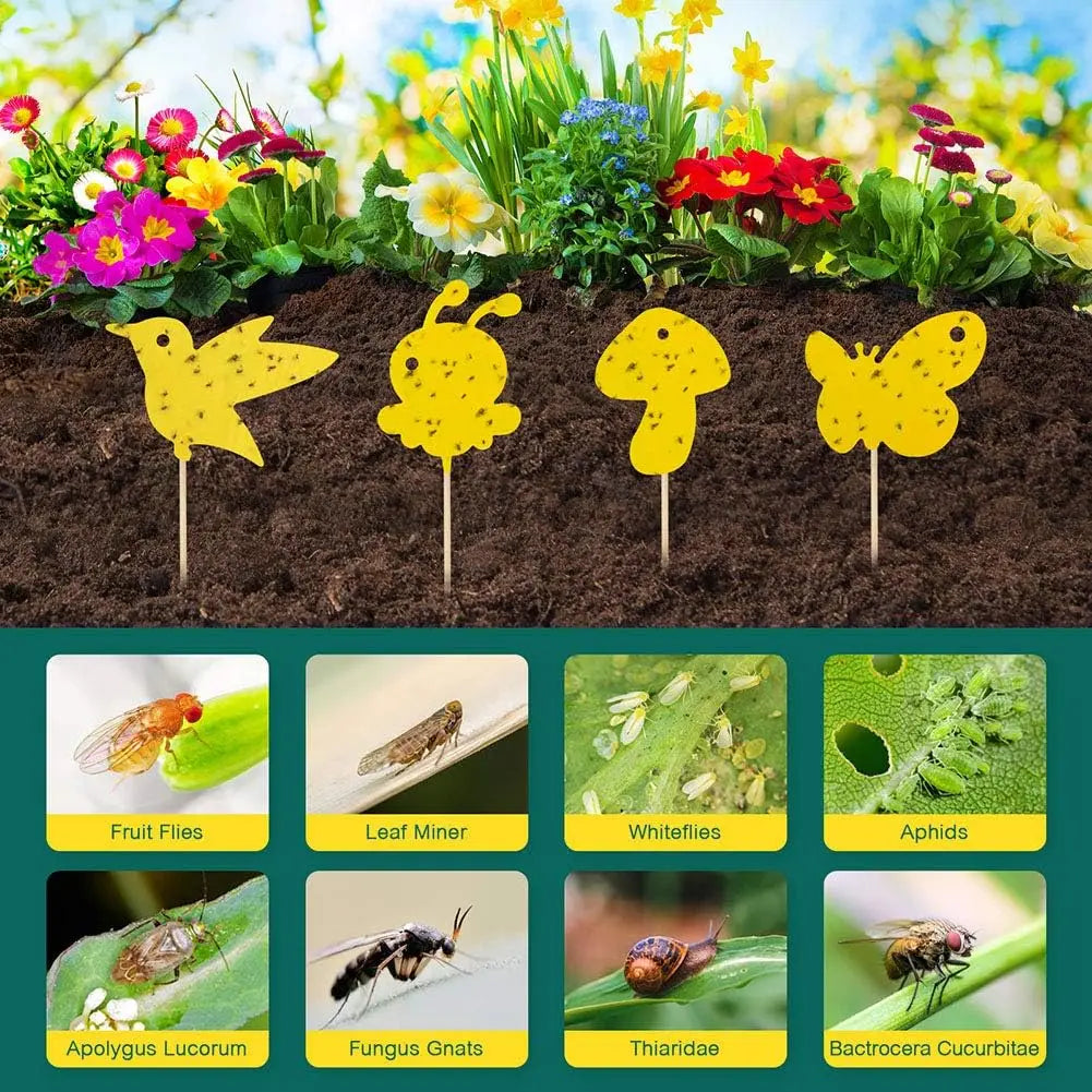 Insektenfallen Pflanzen 59er Set - Chemiefrei & Ungiftig