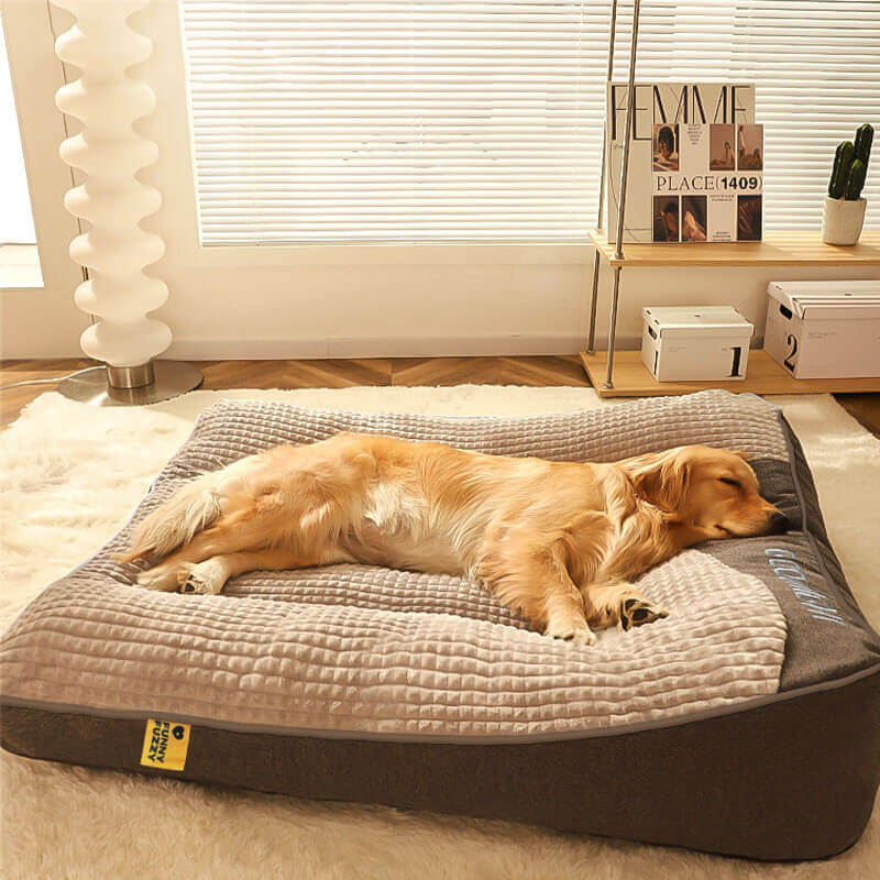 Orthopädisches Hundebett mit Kopfkissen – Memory Foam für große Hunde