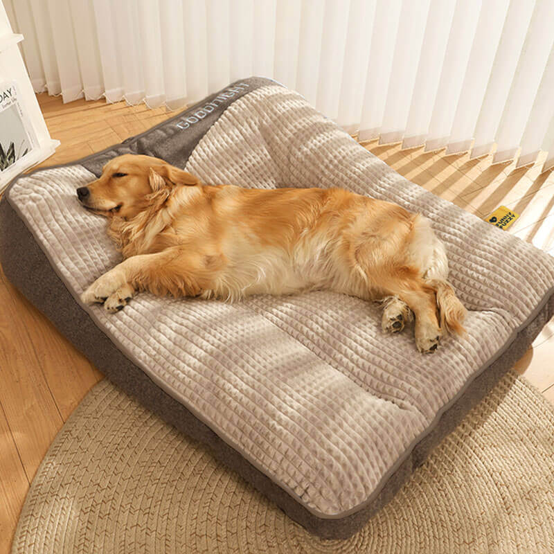Orthopädisches Hundebett mit Kopfkissen – Memory Foam für große Hunde