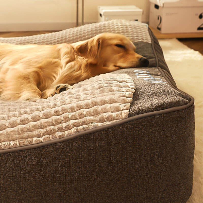 Orthopädisches Hundebett mit Kopfkissen – Memory Foam für große Hunde