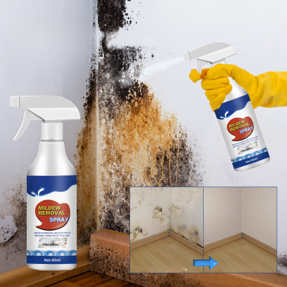 Schimmelentferner Spray für Wände, Fugen & Fliesen – 60 ml
