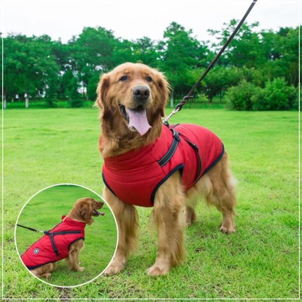 Wasserdichte Winterjacke für Hunde mit integriertem Geschirr