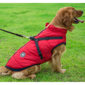 Wasserdichte Winterjacke für Hunde mit integriertem Geschirr