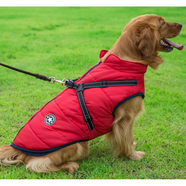 Wasserdichte Winterjacke für Hunde mit integriertem Geschirr