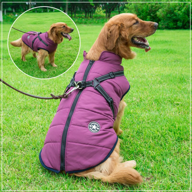 Wasserdichte Winterjacke für Hunde mit integriertem Geschirr