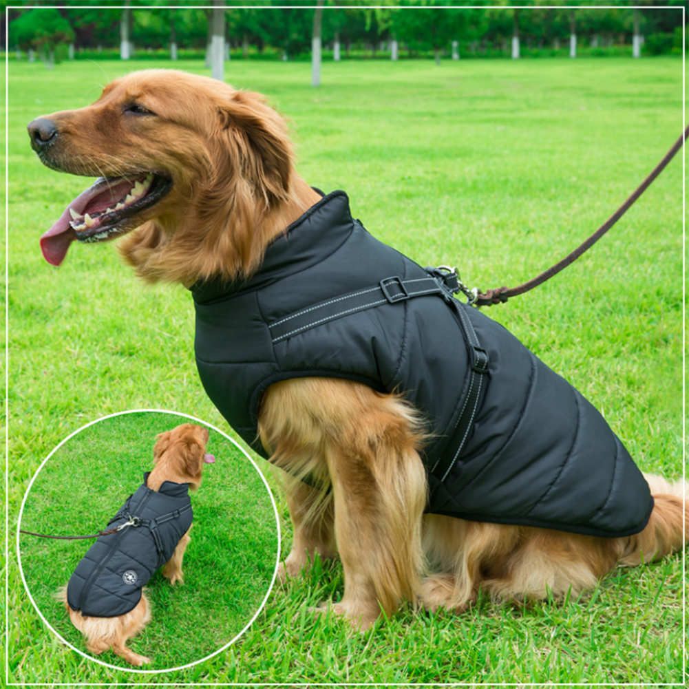 Wasserdichte Winterjacke für Hunde mit integriertem Geschirr