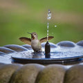 Solar Springbrunnen Vogeltränke für Garten & Teich mit Solarpumpe