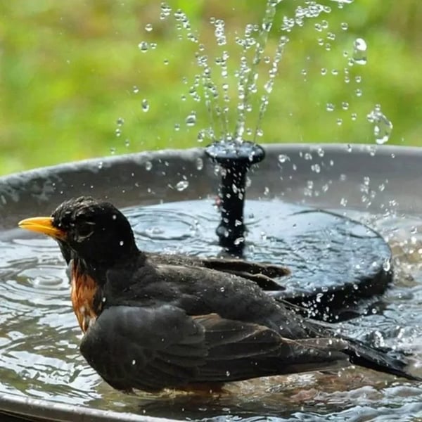 Solar Springbrunnen Vogeltränke für Garten & Teich mit Solarpumpe